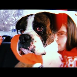 Meet your Posher, Maria